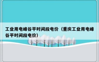 工业用电峰谷平时间段电价（重庆工业用电峰谷平时间段电价）