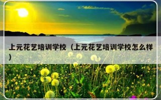 上元花艺培训学校（上元花艺培训学校怎么样）