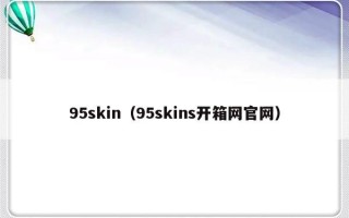 95skin（95skins开箱网官网）