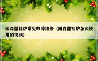 国森壁挂炉常见故障维修（国森壁挂炉怎么使用的视频）