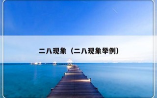 二八现象（二八现象举例）