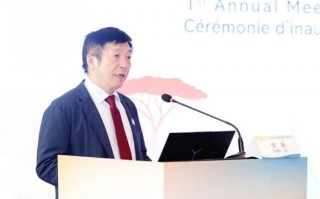 中非对话，双边启航！“中非医院泌尿外科联盟成立暨第一次学术会议”隆重举行|界面新闻
