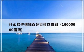 什么软件借钱百分百可以借到（10005000借钱）