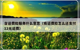 含运费险服务什么意思（有运费险怎么还支付12元运费）