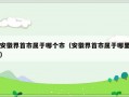 安徽界首市属于哪个市（安徽界首市属于哪里）