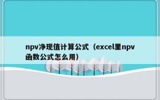 npv净现值计算公式（excel里npv函数公式怎么用）