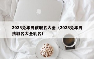 2023兔年男孩取名大全（2023兔年男孩取名大全乳名）