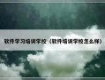 软件学习培训学校（软件培训学校怎么样）