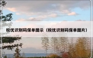 税优识别码保单图示（税优识别码保单图片）