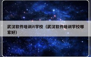 武汉软件培训it学校（武汉软件培训学校哪家好）