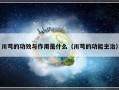 川芎的功效与作用是什么（川芎的功能主治）