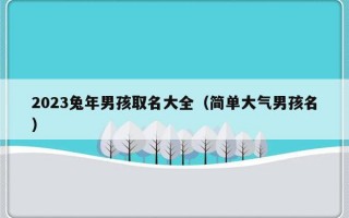 2023兔年男孩取名大全（简单大气男孩名）