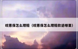 皖惠保怎么理赔（皖惠保怎么理赔款退哪里）