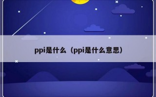 ppi是什么（ppi是什么意思）