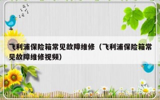 飞利浦保险箱常见故障维修（飞利浦保险箱常见故障维修视频）