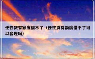 任性贷有额度借不了（任性贷有额度借不了可以套现吗）