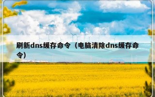 刷新dns缓存命令（电脑清除dns缓存命令）