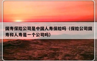 国寿保险公司是中国人寿保险吗（保险公司国寿和人寿是一个公司吗）