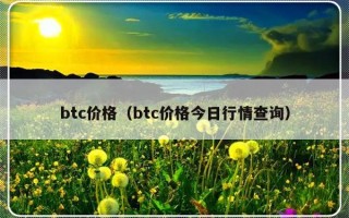 btc价格（btc价格今日行情查询）