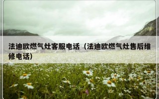 法迪欧燃气灶客服电话（法迪欧燃气灶售后维修电话）