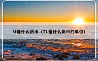 tl是什么货币（TL是什么货币的单位）