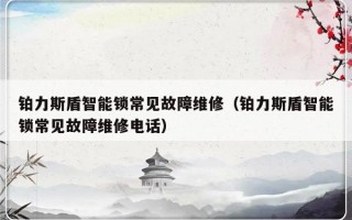 铂力斯盾智能锁常见故障维修（铂力斯盾智能锁常见故障维修电话）