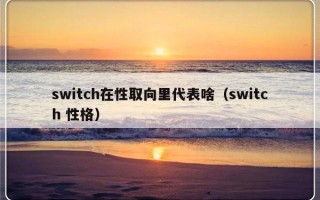 switch在性取向里代表啥（switch 性格）