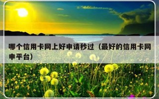 哪个信用卡网上好申请秒过（最好的信用卡网申平台）