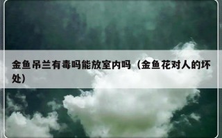 金鱼吊兰有毒吗能放室内吗（金鱼花对人的坏处）