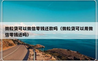 微粒贷可以微信零钱还款吗（微粒贷可以用微信零钱还吗）