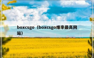 boxcsgo（boxcsgo爆率最高网站）