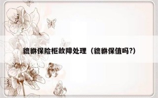 貔貅保险柜故障处理（貔貅保值吗?）