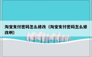 淘宝支付密码怎么修改（淘宝支付密码怎么修改啊）