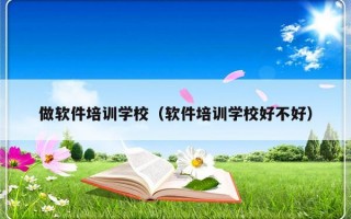 做软件培训学校（软件培训学校好不好）