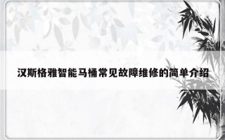 汉斯格雅智能马桶常见故障维修的简单介绍