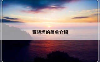 贾晓烨的简单介绍