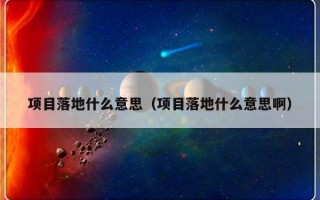 项目落地什么意思（项目落地什么意思啊）