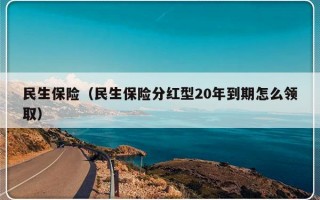 民生保险（民生保险分红型20年到期怎么领取）