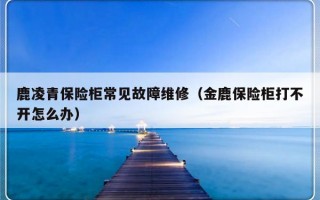 鹿凌青保险柜常见故障维修（金鹿保险柜打不开怎么办）