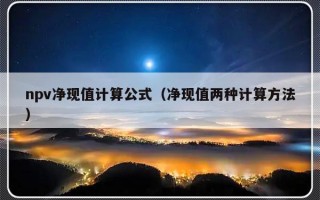 npv净现值计算公式（净现值两种计算方法）