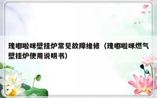 瑰嘟啦咪壁挂炉常见故障维修（瑰嘟啦咪燃气壁挂炉使用说明书）