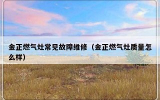 金正燃气灶常见故障维修（金正燃气灶质量怎么样）