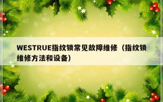 WESTRUE指纹锁常见故障维修（指纹锁维修方法和设备）