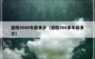 退税5000年薪多少（退税500多年薪多少）