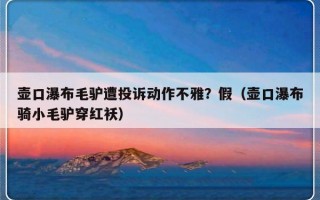壶口瀑布毛驴遭投诉动作不雅？假（壶口瀑布骑小毛驴穿红袄）