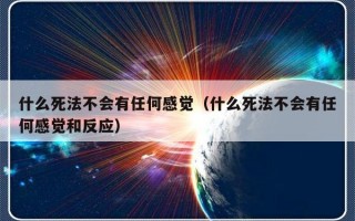 什么死法不会有任何感觉（什么死法不会有任何感觉和反应）