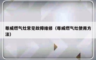 尊威燃气灶常见故障维修（尊威燃气灶使用方法）