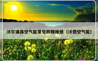 沃尔浦森空气能常见故障维修（沃德空气能）