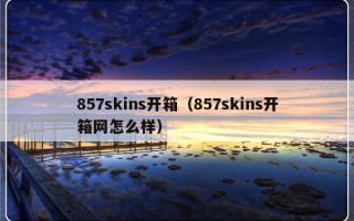 857skins开箱（857skins开箱网怎么样）