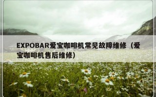 EXPOBAR爱宝咖啡机常见故障维修（爱宝咖啡机售后维修）